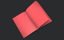 Load image into Gallery viewer, FALSE