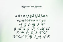 Load image into Gallery viewer, Back to Black - Free Script &amp; Calligraphy Font

