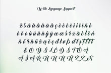 Load image into Gallery viewer, Back to Black - Free Script &amp; Calligraphy Font
